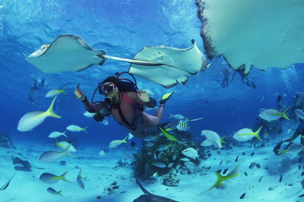 Diving in Koh Samui