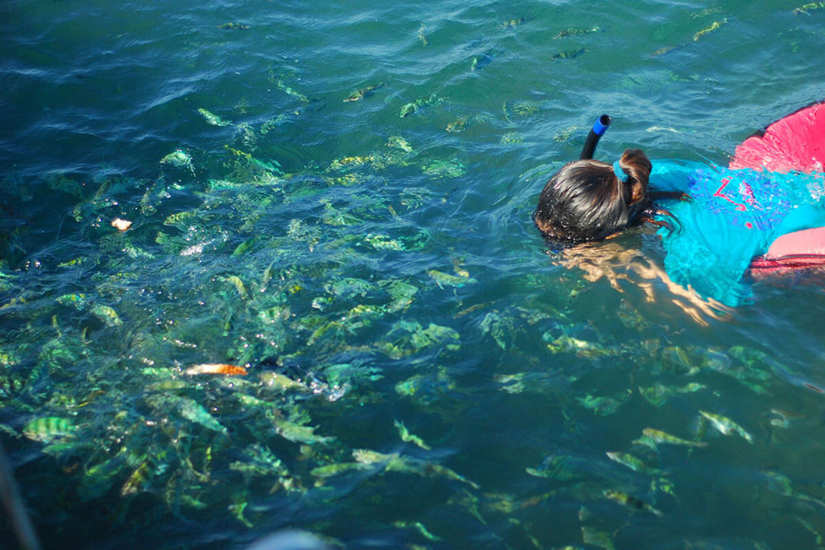 Snokeling in Koh Taen