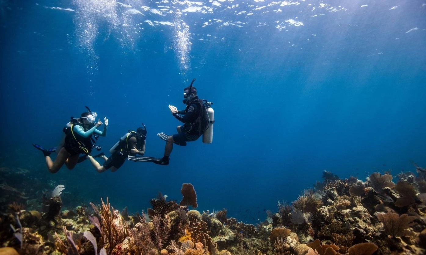 Timing the Hidden Wonders