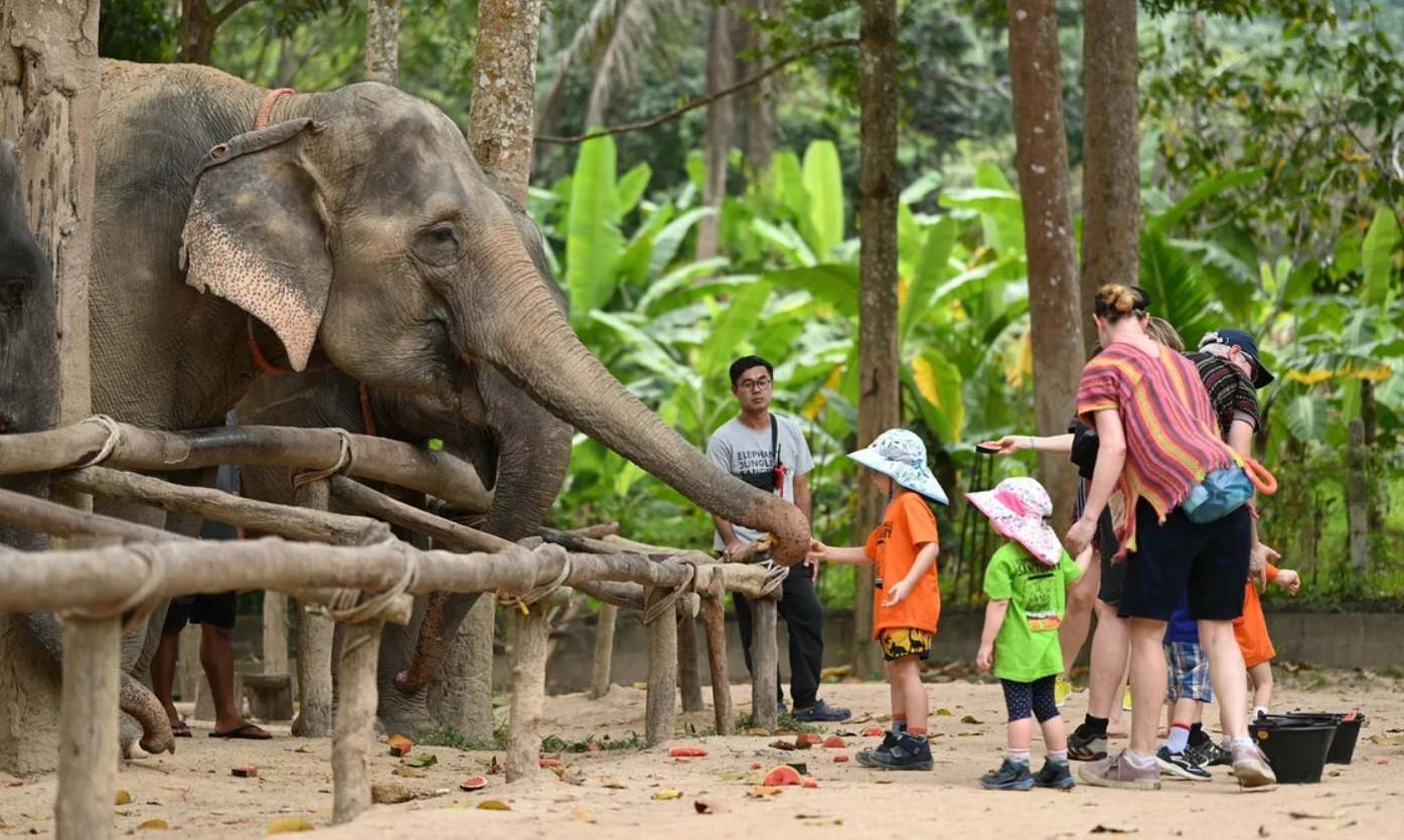 A tourist family visiting an elephant sanctuary in Koh Samui